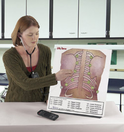 Student with Posterior Ausuculation Training Board